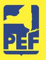 NYS Public Employees Federation